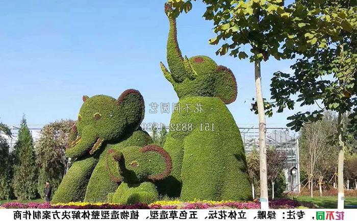 植物绿雕动物造型-大象实拍图