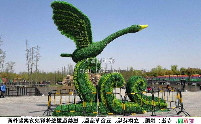 植物绿雕动物造型-天鹅实拍图